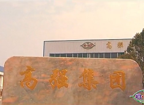 高強(qiáng)集團(tuán)宣傳片